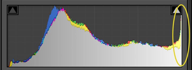 露光量+1のヒストグラム